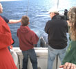 Leprechaun Fishing Charters