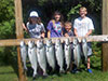 King Salmon Charter Fishing Steelhead